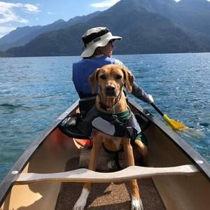 Meet your Posher, Karin